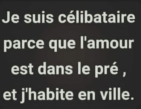 celibataire citation|Citation CÉLIBATAIRE : 60 phrases et proverbes